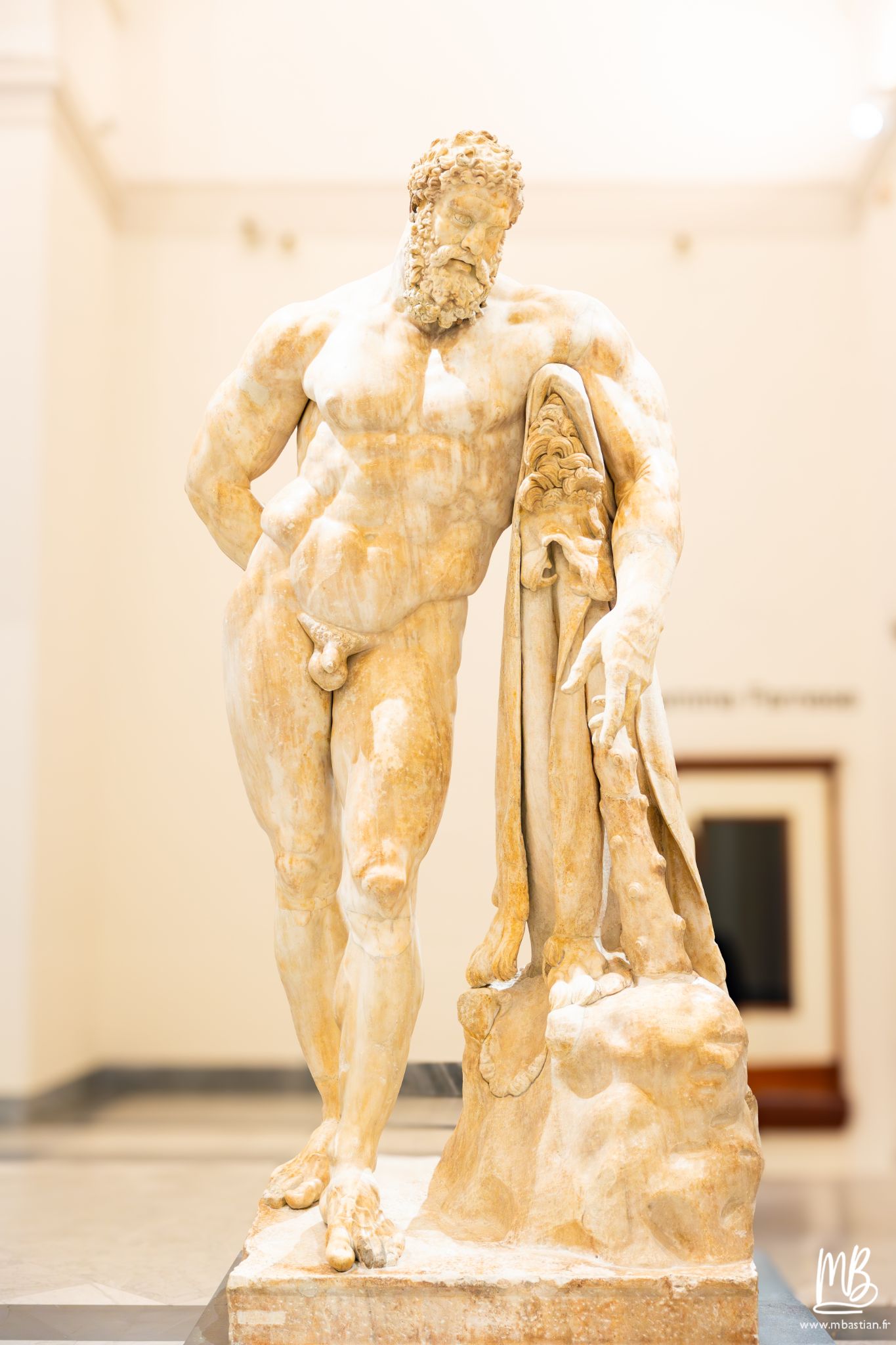 20250329 Naples MB 35