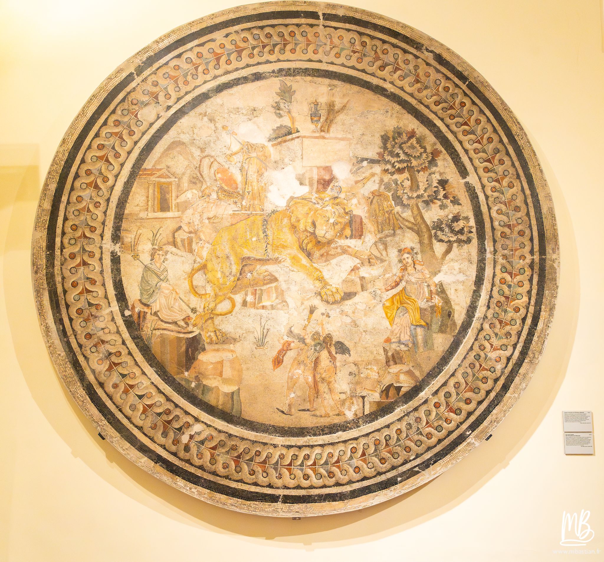 20250329 Naples MB 37