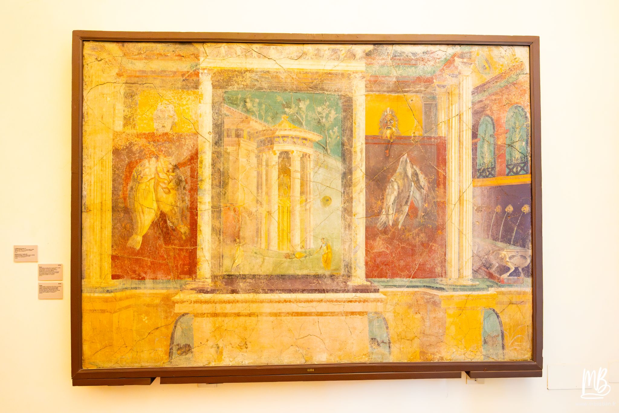 20250329 Naples MB 57