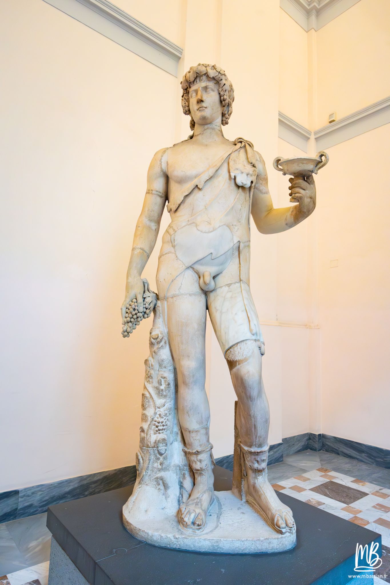 20250329 Naples MB 67