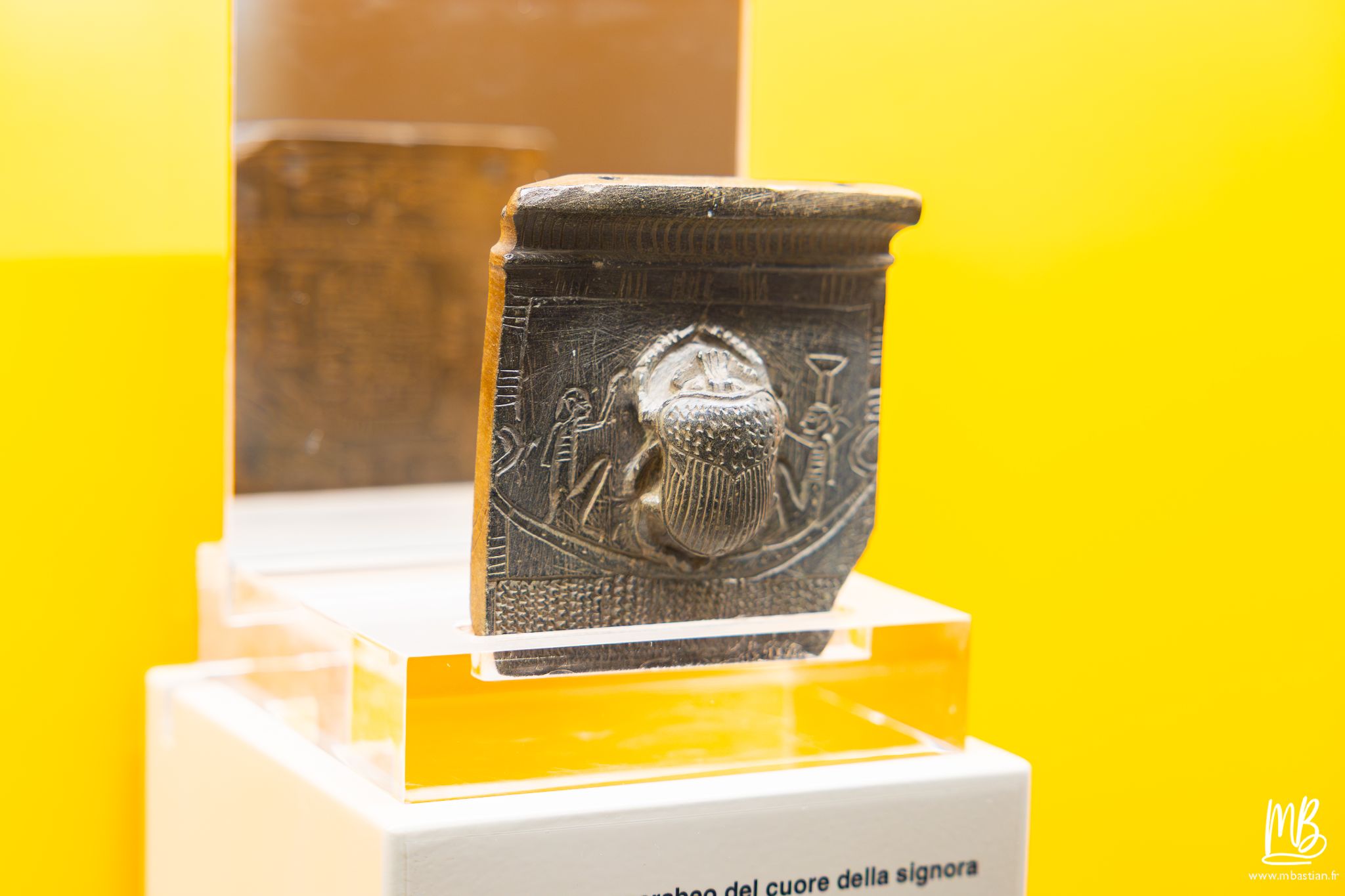 20250329 Naples MB 77