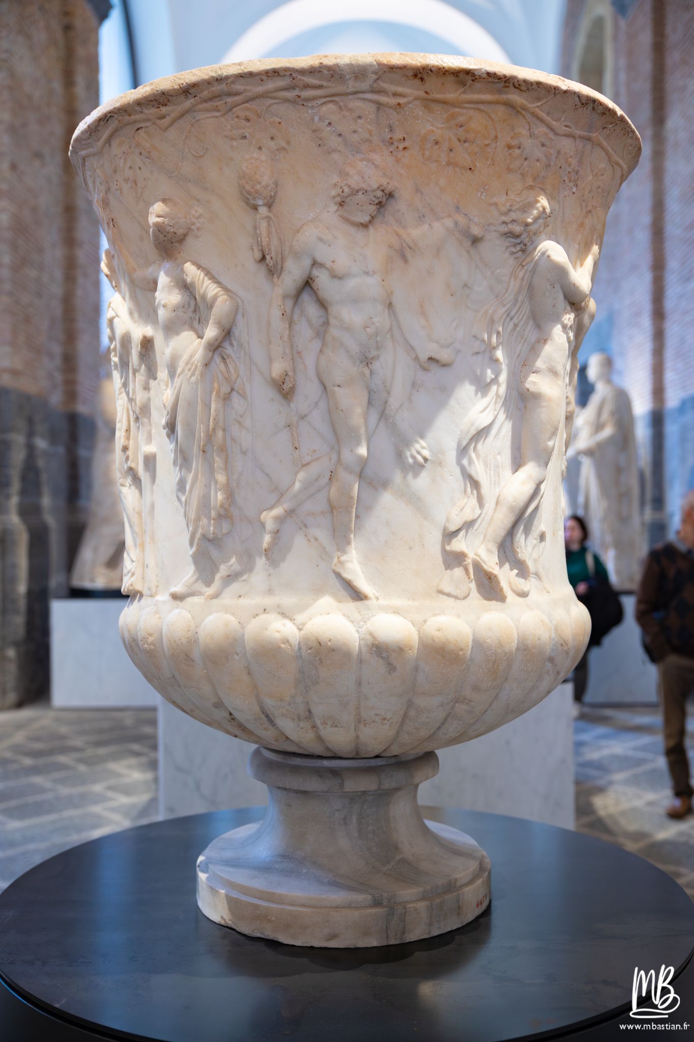 20250329 Naples MB 9