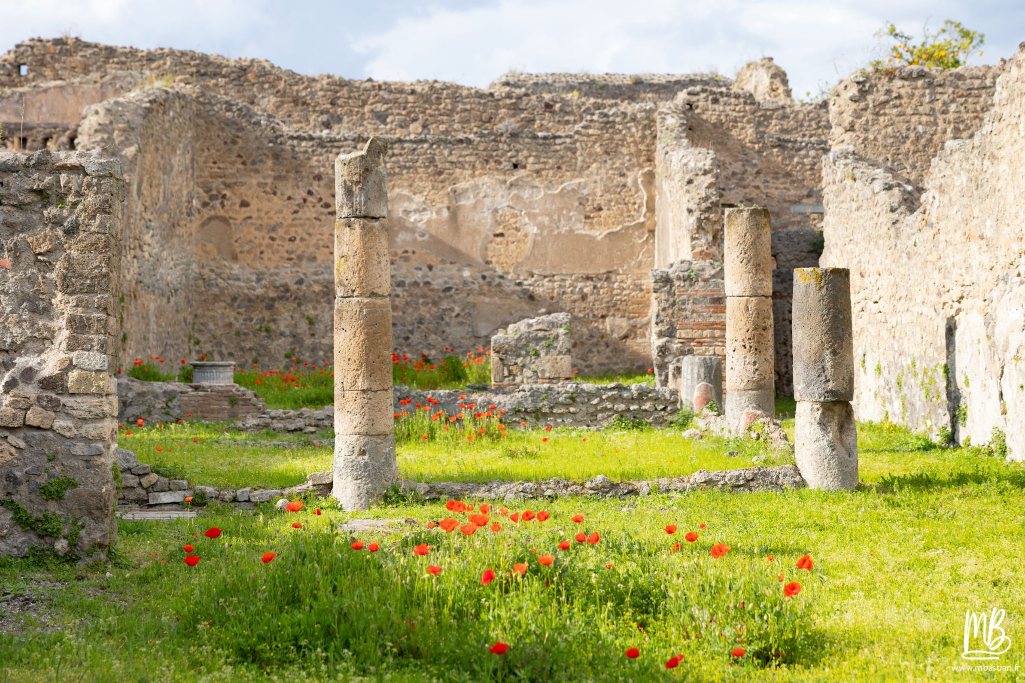 20250328 POMPEI MB 110