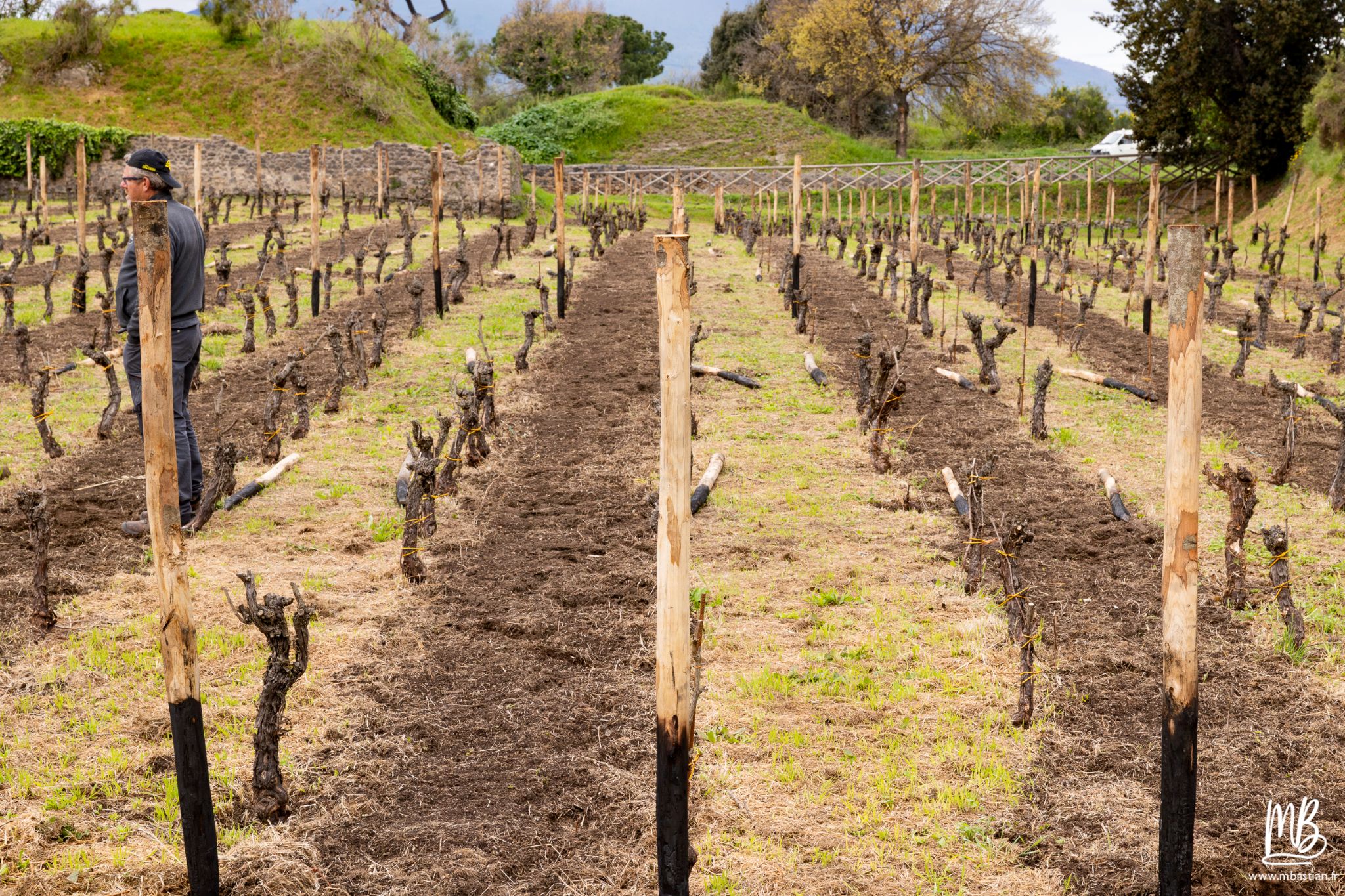 20250328 POMPEI MB 19