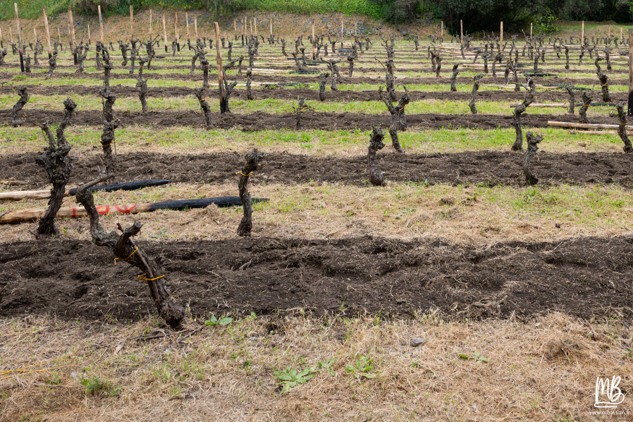 20250328 POMPEI MB 23