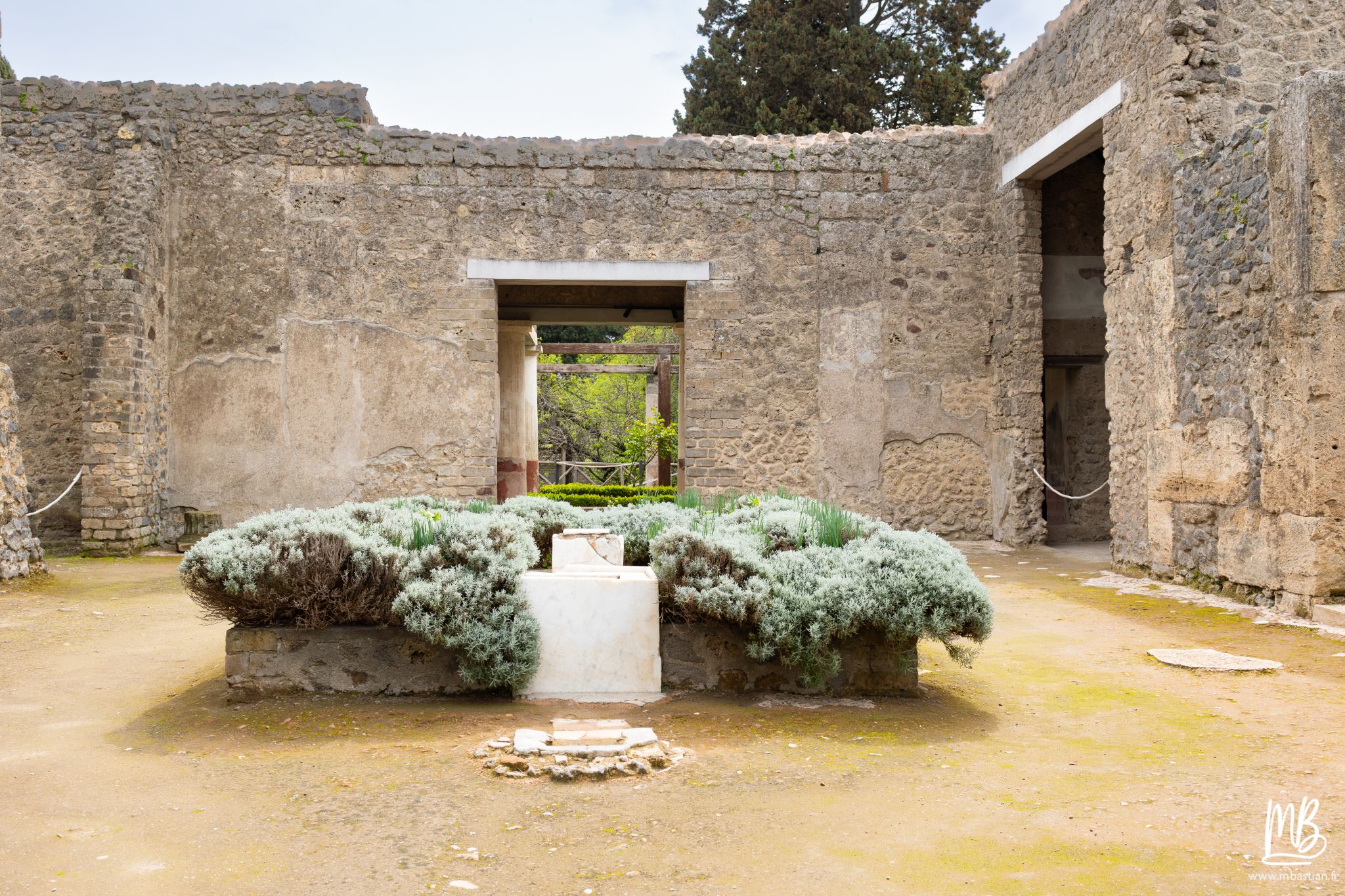 20250328 POMPEI MB 50