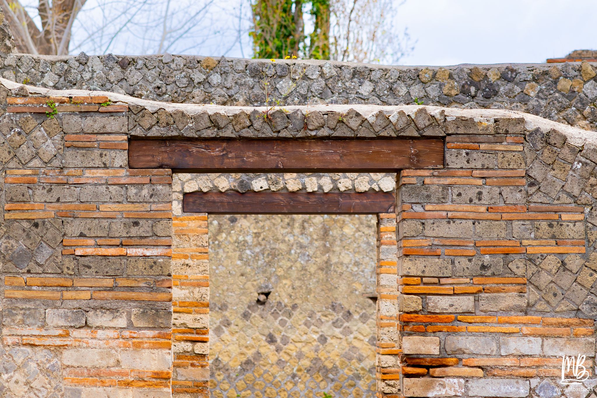 20250328 POMPEI MB 55