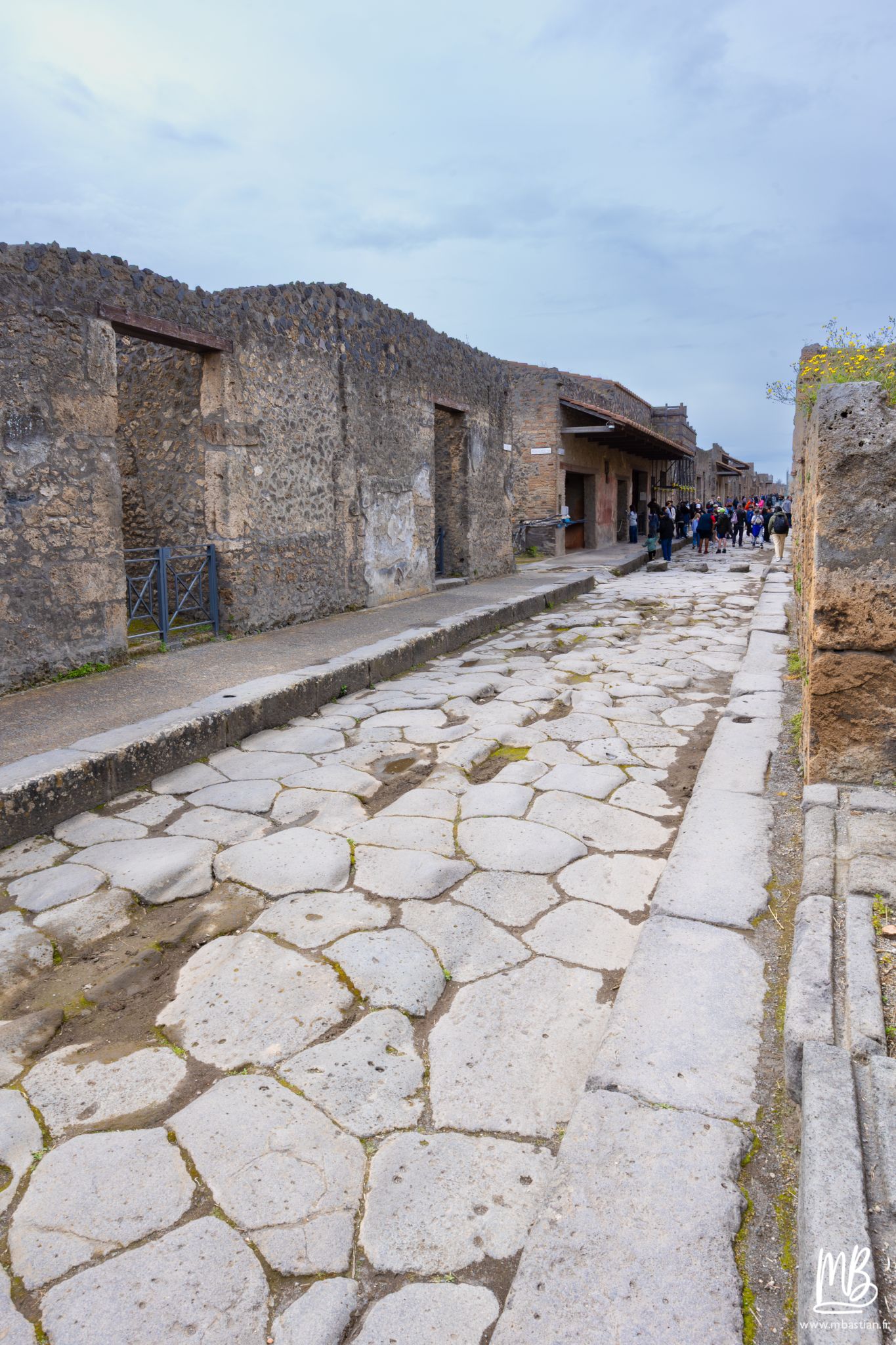 20250328 POMPEI MB 59