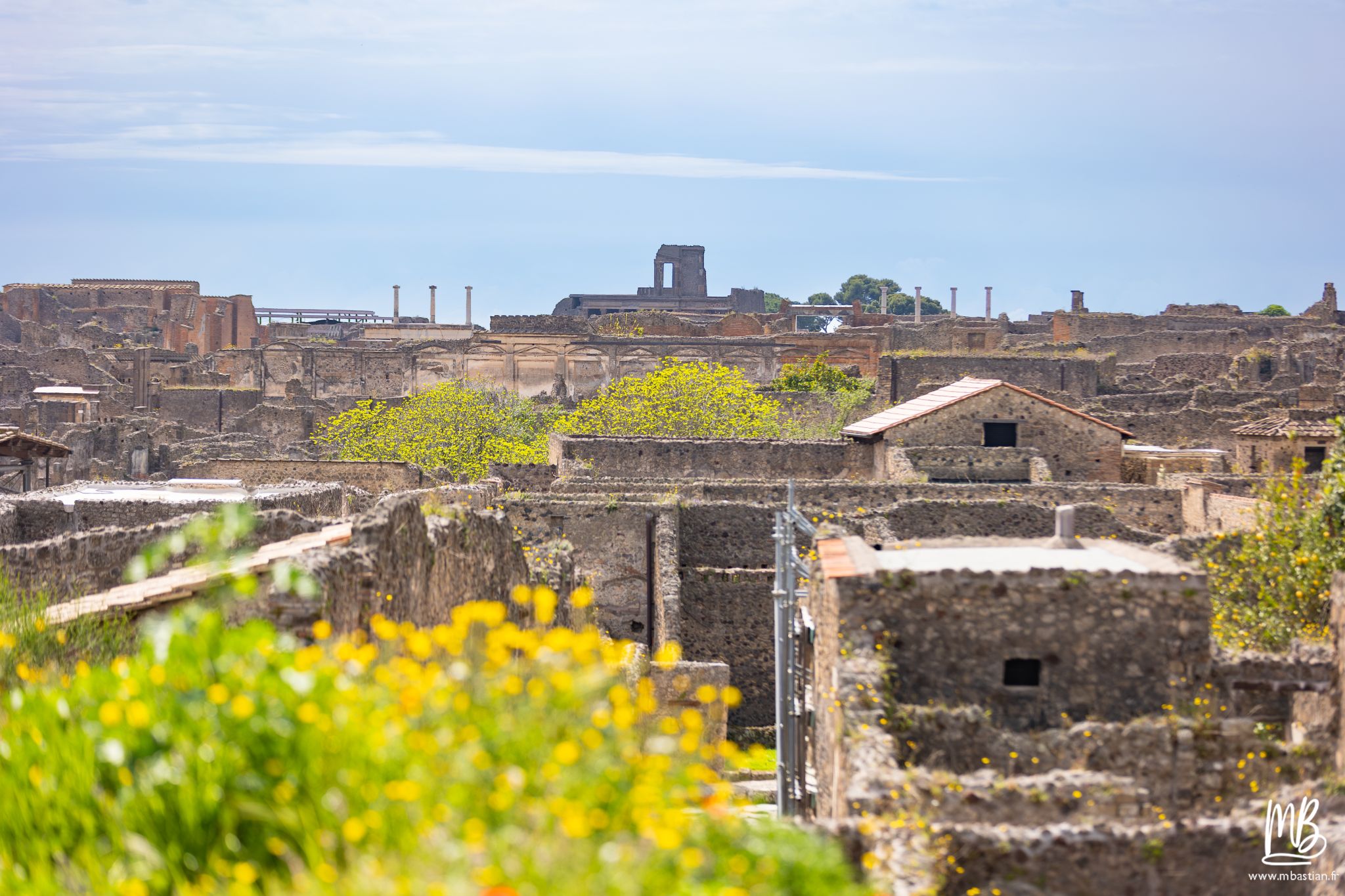 20250328 POMPEI MB 72